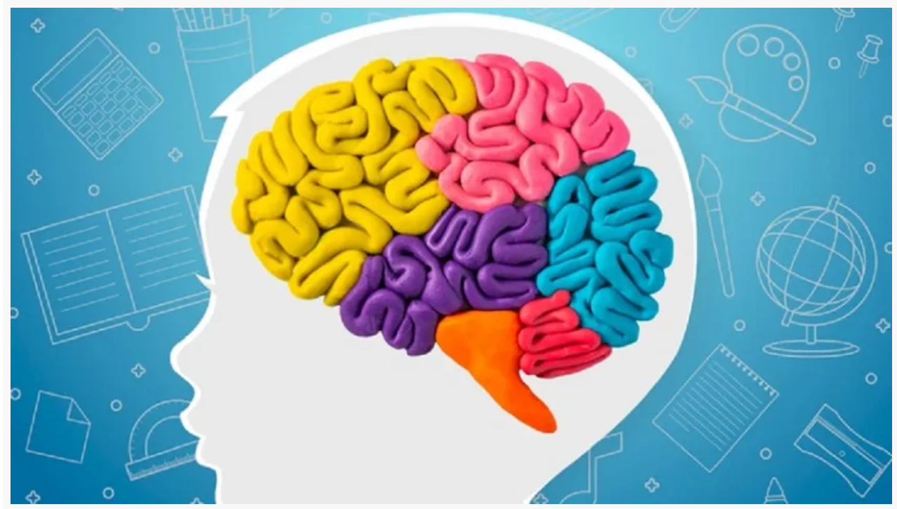 Representacion de silueta de niño con cerebro de colores